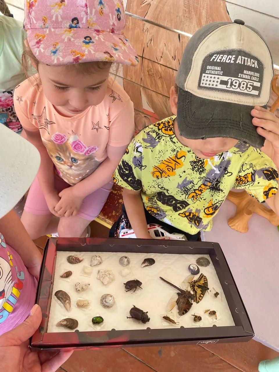 Группа "Веснушки" сегодня погрузилась в мир🌏насекомых🐛🦗🪲. 
 Началось все с беседы. Ребятам 👫был