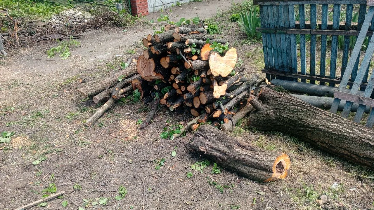 Продаются дрова. Слива, груша, шелковица.
Самовывоз.
На фото не все есть ещё.
89950066910