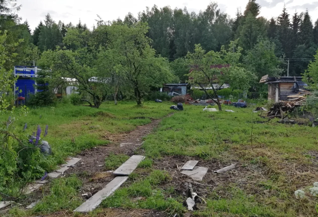 ⁉️Кто и на каких основаниях может признать участок бесхозным

В последние годы тема заброшенных земе