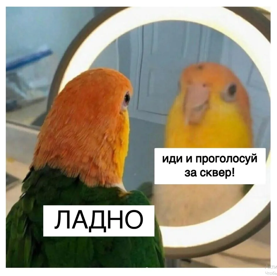 ✅Во Владивостоке продолжается рейтинговое голосование за общественные территории, которые благоустро