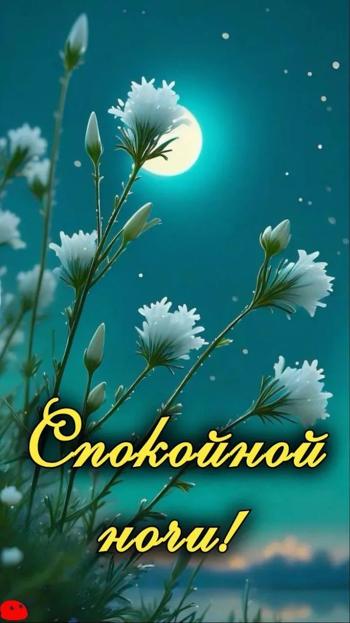 ✨❤️❤️❤️🍬✨

ДЛЯ ДУШИ! 🦋