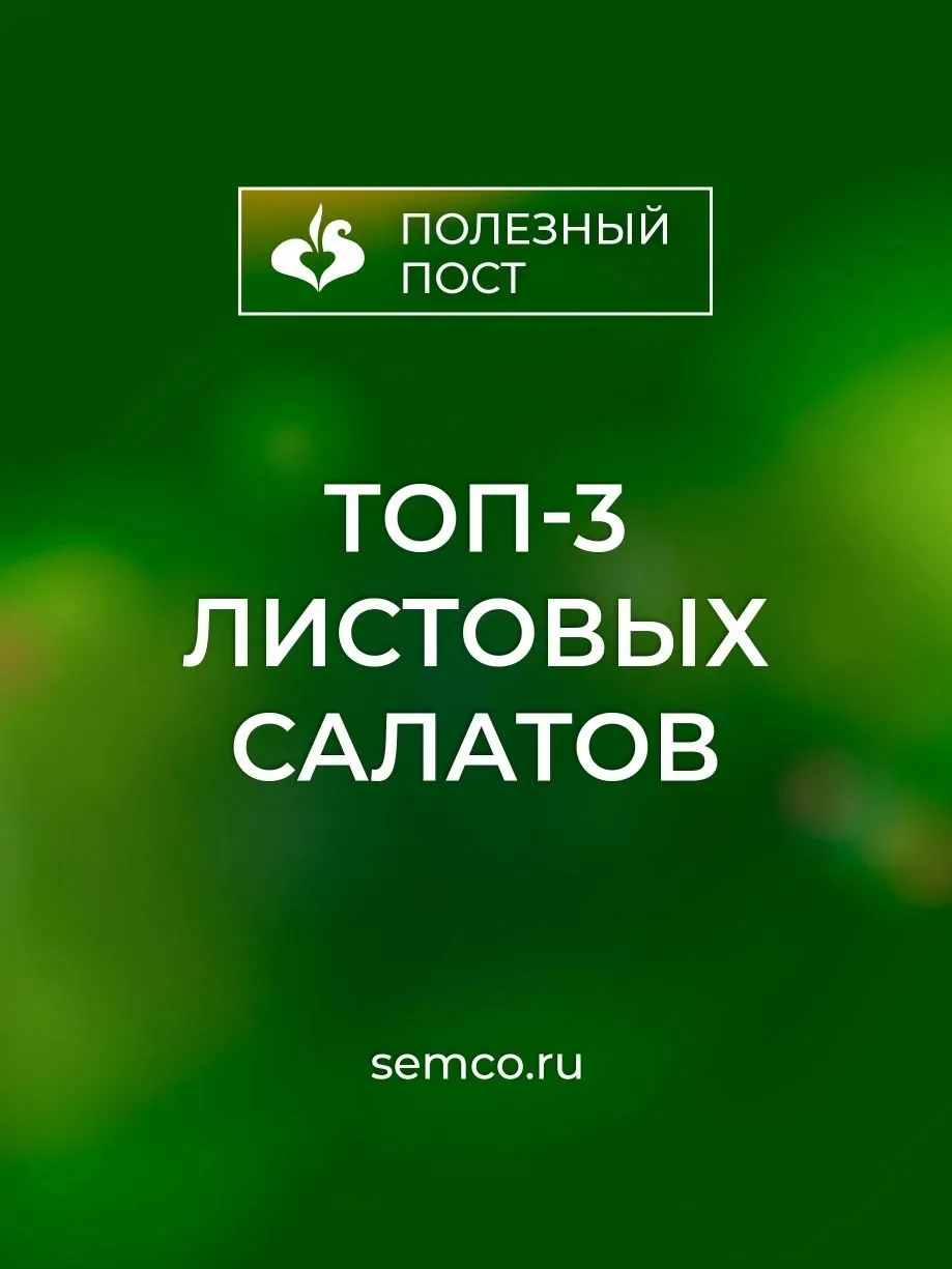 Топ-3 листовых салатов.

Знаете, что отличает обычный обед от ресторанного блюда? Хруст, цвет и свеж
