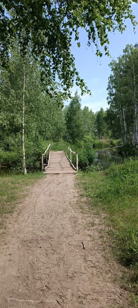 Клуб ЗОЖ. Поход в лес!👍Лето, солнце,жара, лес.... Посетили наш Отарский водопад, насладились звукам