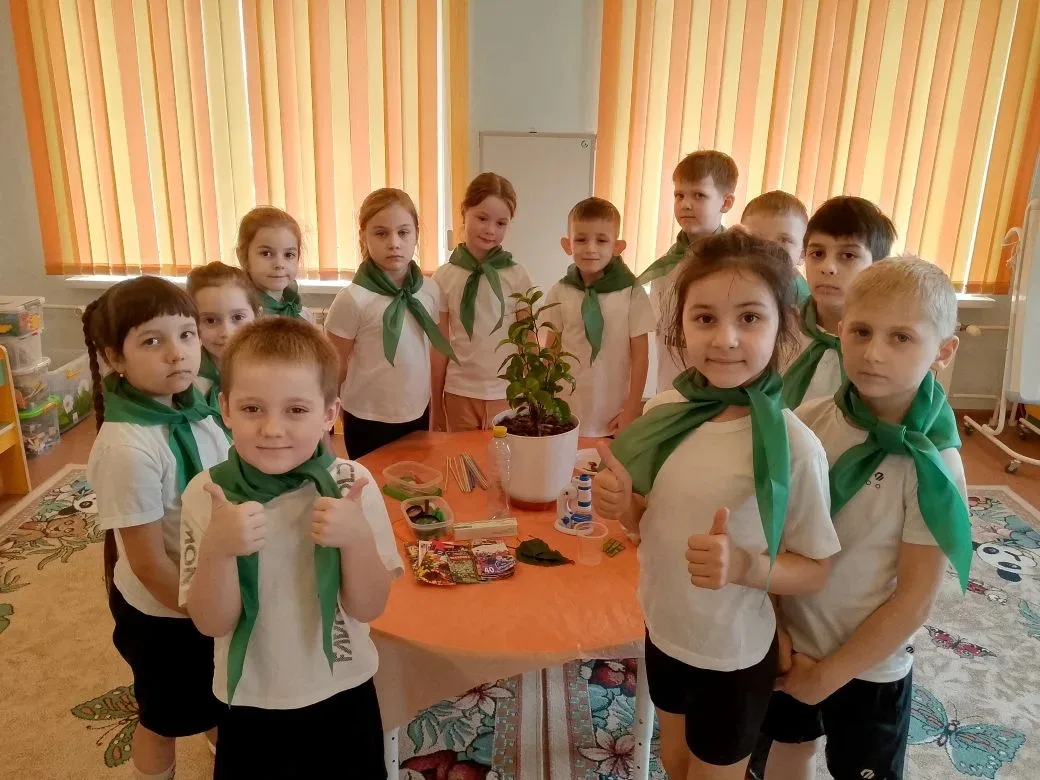 🌿Юные исследователи в деле: воспитанники группы №10 "Непоседы" изучают, как растения очищают воздух