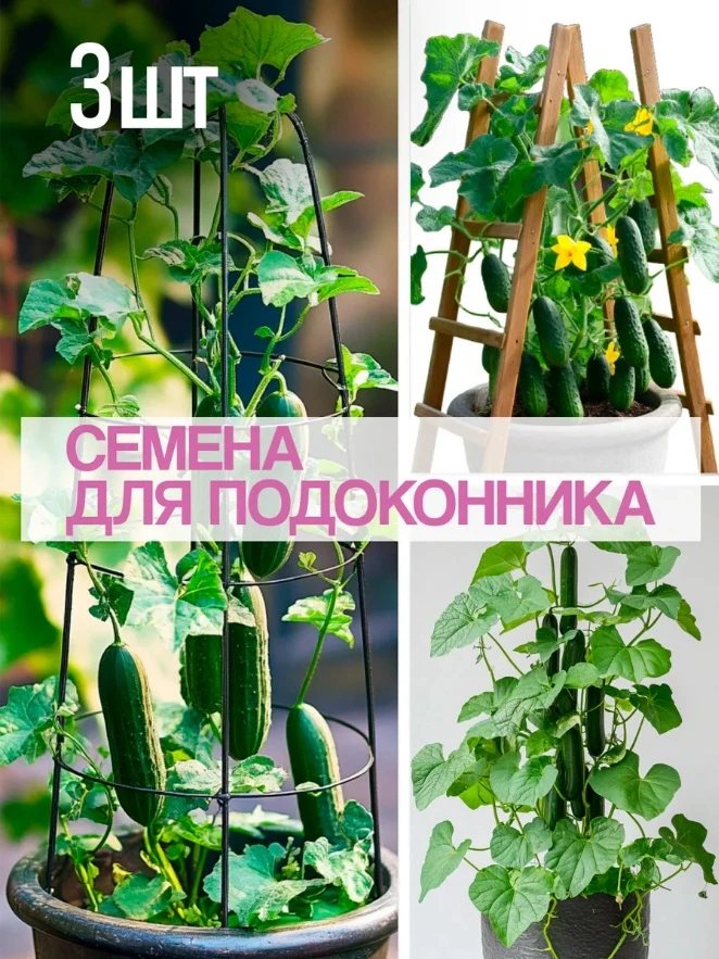 ДО/ПОСЛЕ

Влад 

ДЛЯ ЗАКАЗА ПИСАТЬ: [контакт скрыт]

Иван

[контакт скрыт]

Задача была показать сем