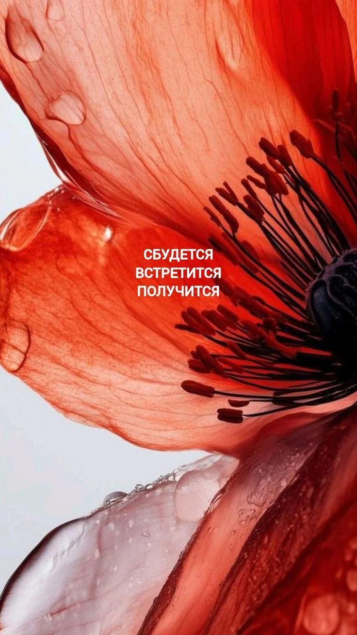 Правда на вечер