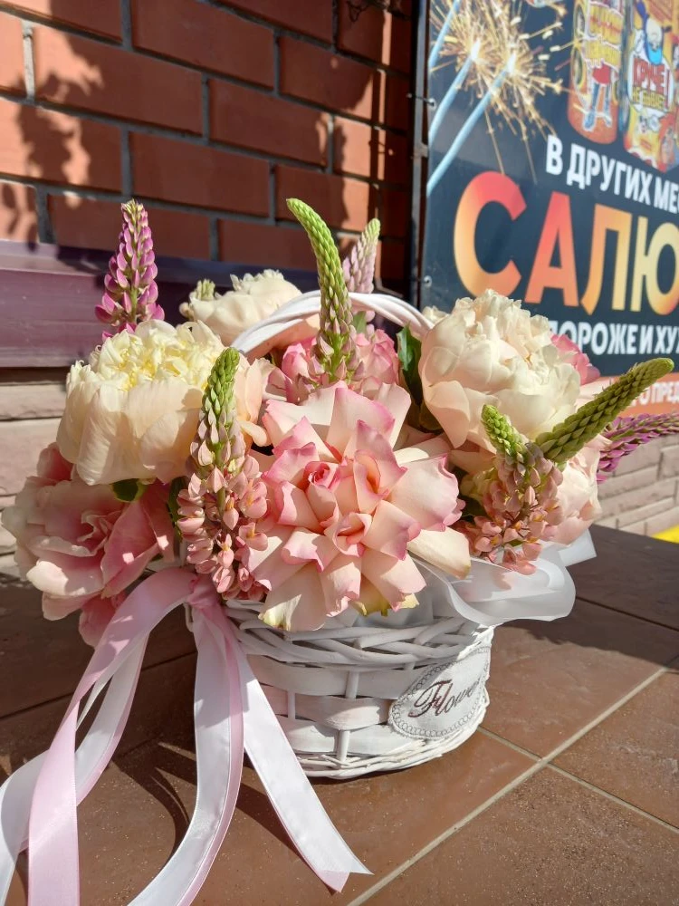 5750₽ 🌸

[контакт скрыт]