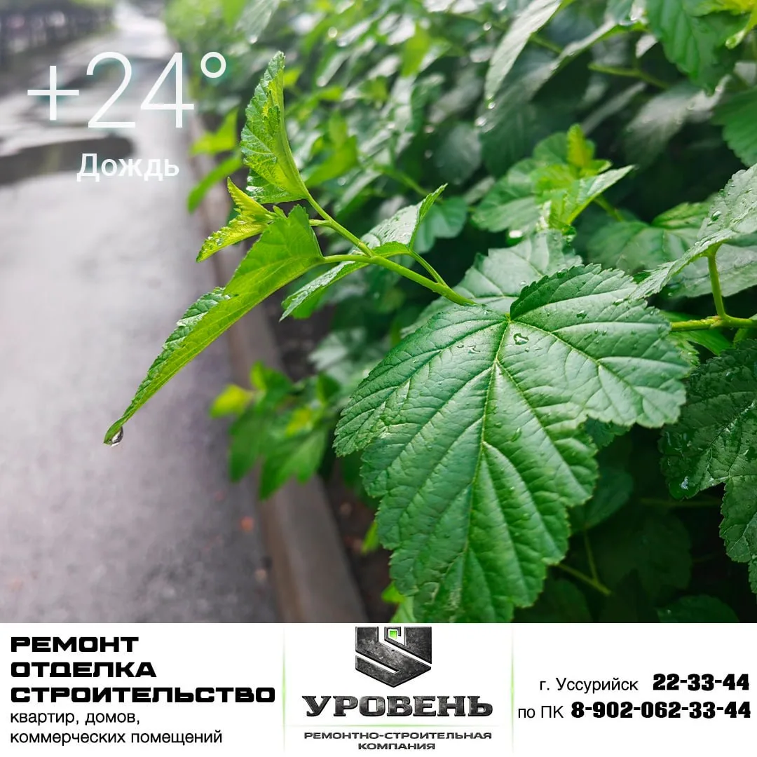 🌧 31 июля
Утром +20°, днём +24°
Дождь
Давление 747 мм рт. ст.
Влажность 93%
Ветер слабый, до 5 м/с
