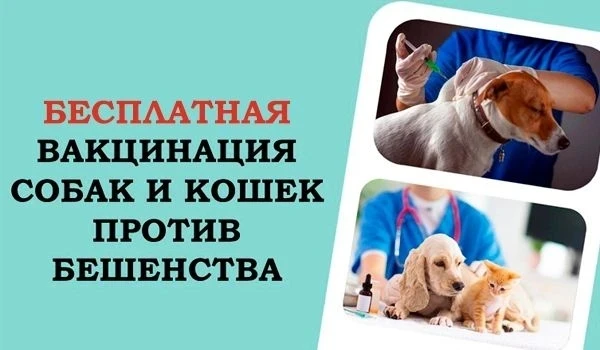 Уважаемые владельцы домашних животных!

Специалистами ГБУ «Конаковская СББЖ» будет проводиться беспл