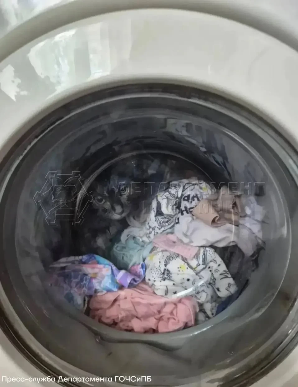 🥹 Котёнок спрятался в стиральной машине и едва не погиб

В Москве питомец незаметно забрался в бара