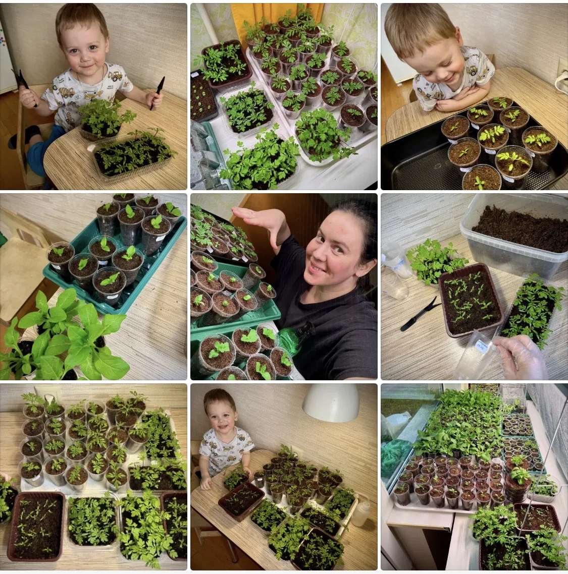 🌱 Рассказала, как я вышла из положения с нехваткой места и сейчас могу оставить все 500+ корней 😻 