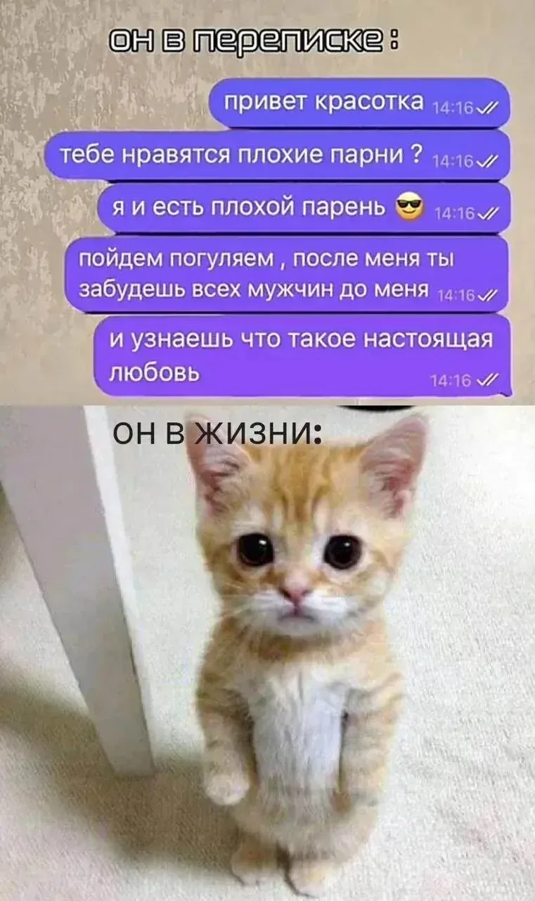 Есть у меня приятельница. Девчонка — огонь: должность, выглядит на миллион, при квартире, коня на ск
