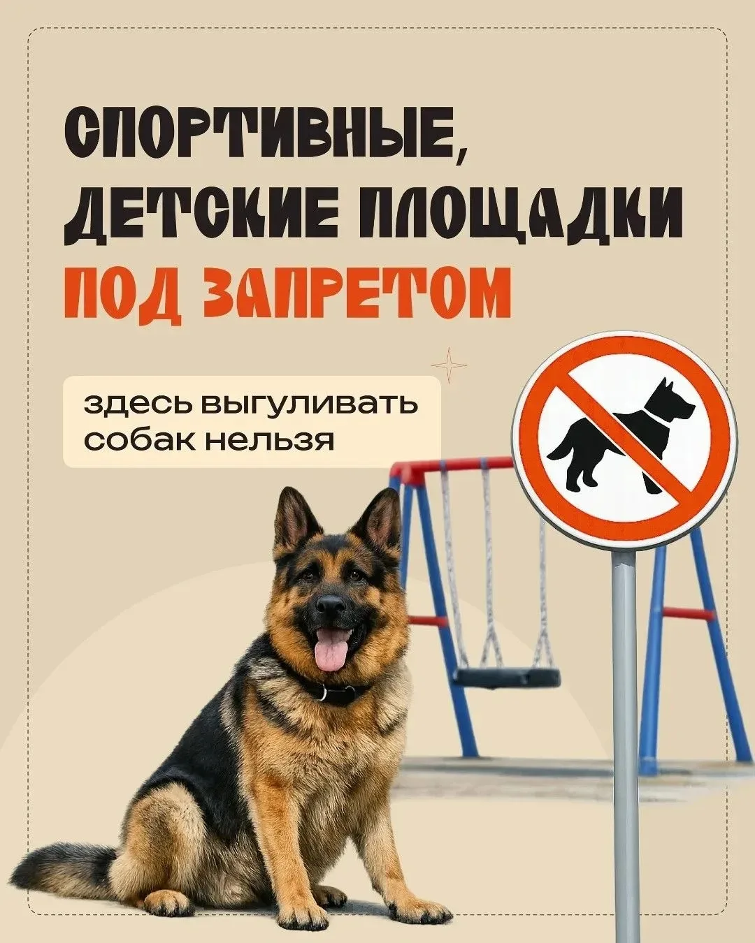 🐕 Правильный выгул собаки – дело непростое.                                                Чтобы пр