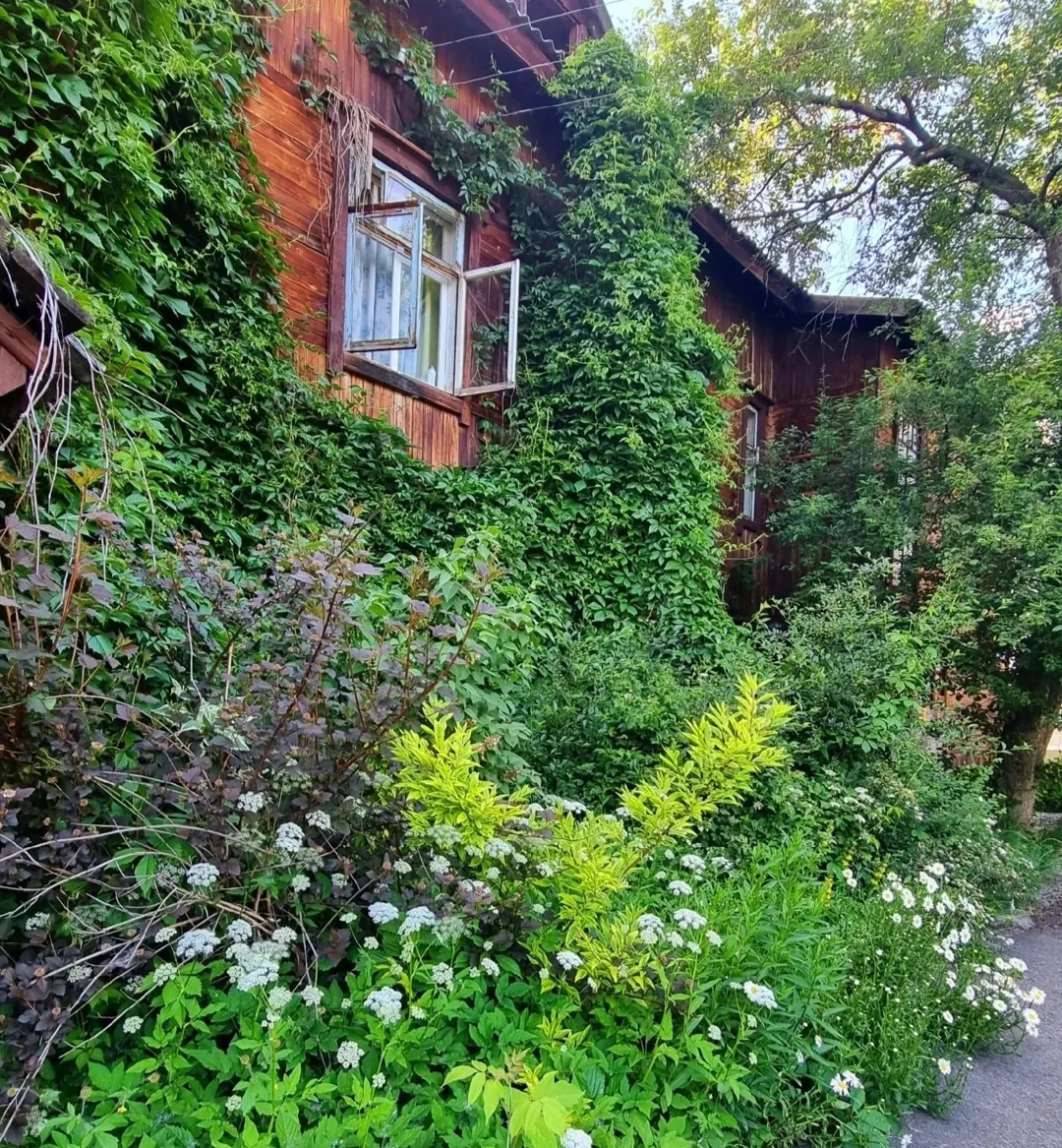 "Цветочная станция" - так называли этот дом на улице Карла Маркса. Воспоминания. Сегодня здесь пусты