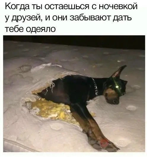 Дайте рыбов!