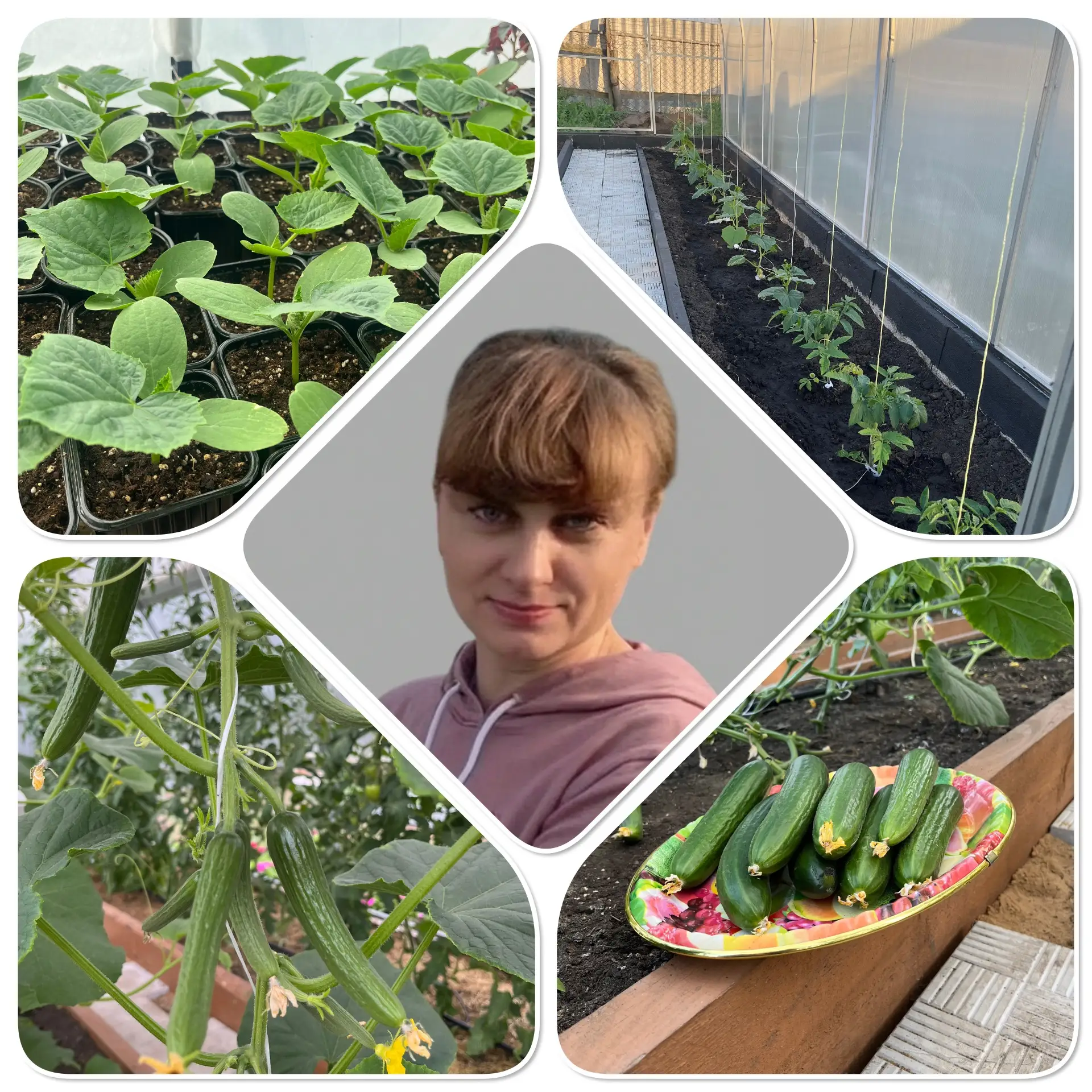 Огурцы 2026: от посева до плодоношения

Пост-навигатор

🥒Суперзелье для замачивания семян

🥒Как сп
