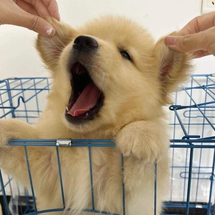 Атпутиии🥺