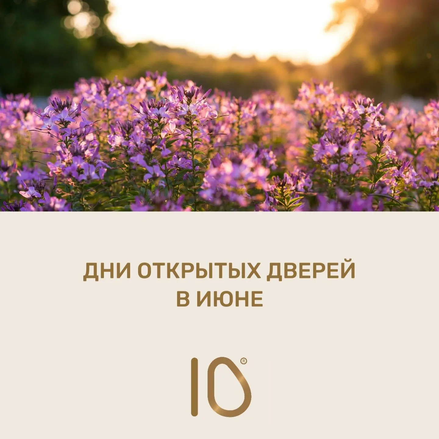 Приглашаем знакомиться с Перинатальным центром №10! 

Встречи со специалистами Родильного дома прохо