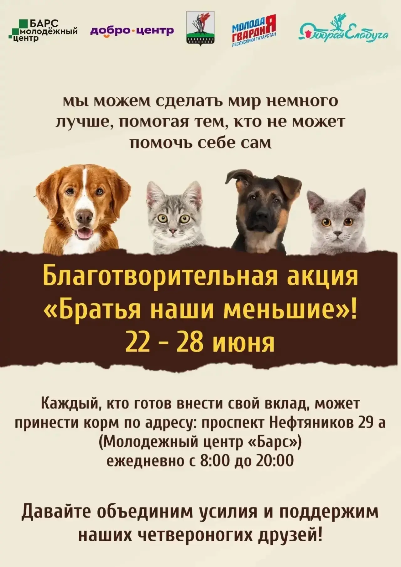 В Елабуге стартовала благотворительная неделя в помощь приюту "9 Жизней". 

Акция "Братья наши меньш