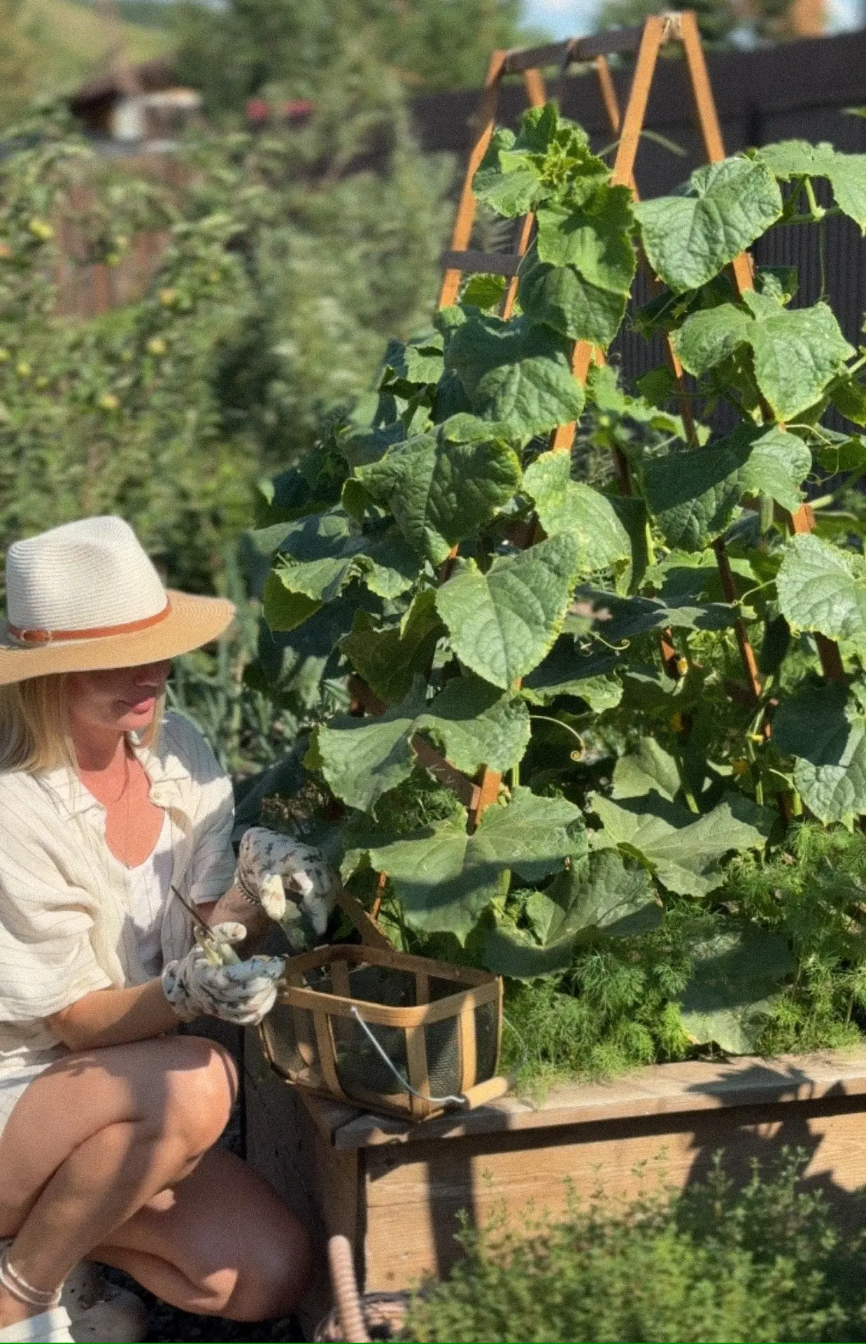 Лето 👩🏼‍🌾🥒