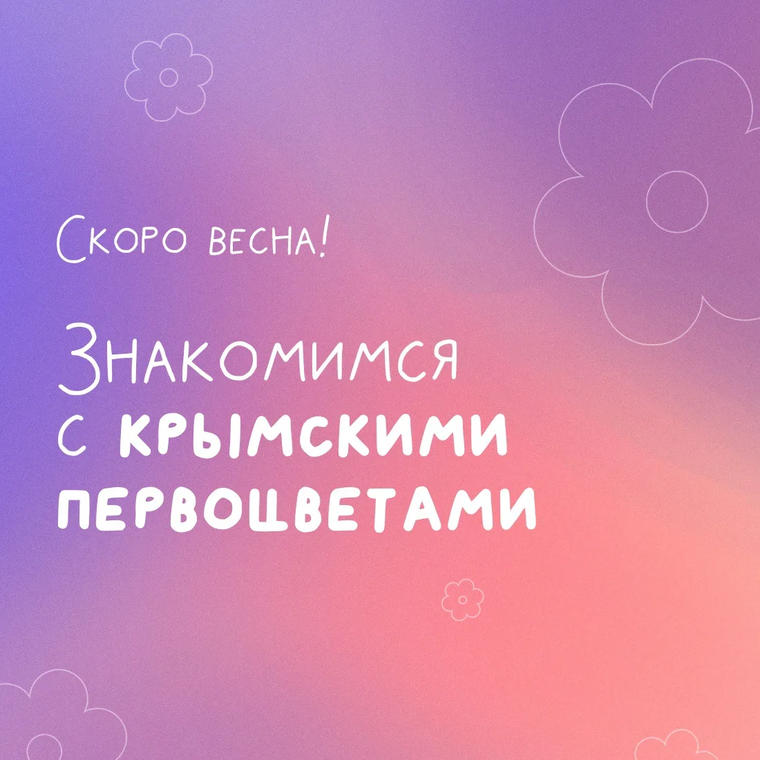 🤩 А у нас эти хрупкие, но смелые цветы, никогда не ждут весны. Крымские первоцветы нетерпеливо проб