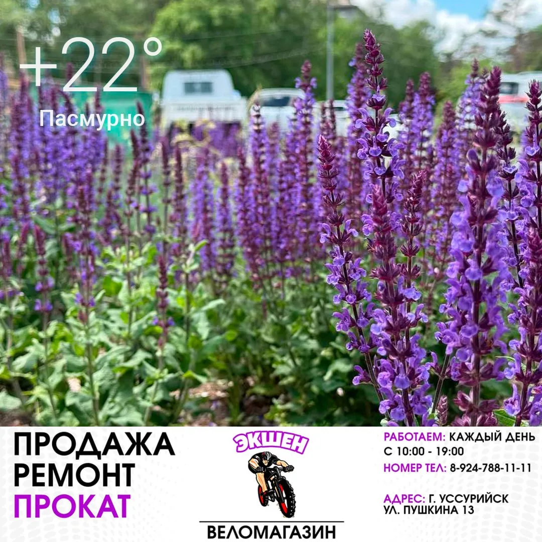 🌥 21 июня
Утром +16°, днём +22°
Пасмурно
Давление 754 мм рт. ст.
Влажность 78%
Ветер слабый, до 3 м