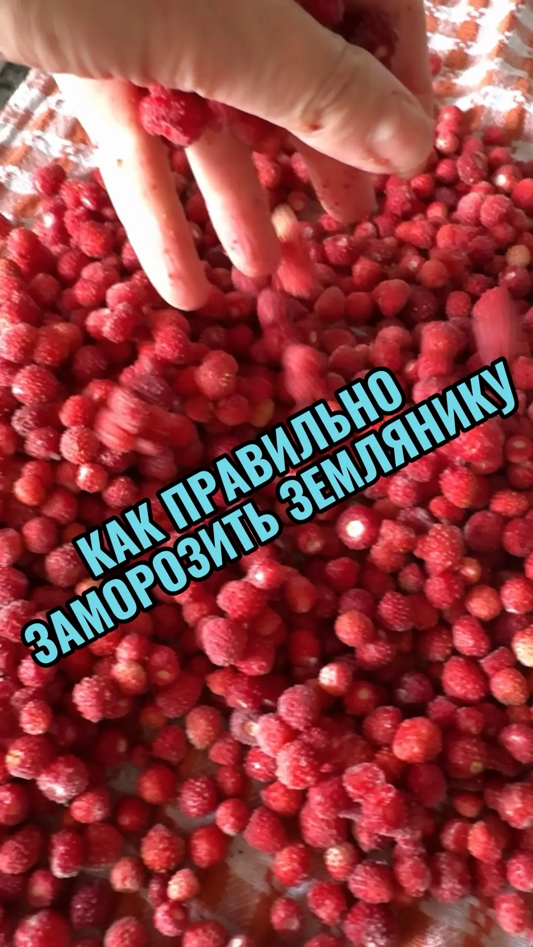 https://vk.ru/clip-211127185_456239268?c=1