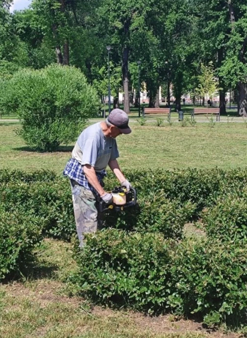 Нет похожих между собой деревьев, кустарников, цветов и травянистых растений – у каждого есть своя о