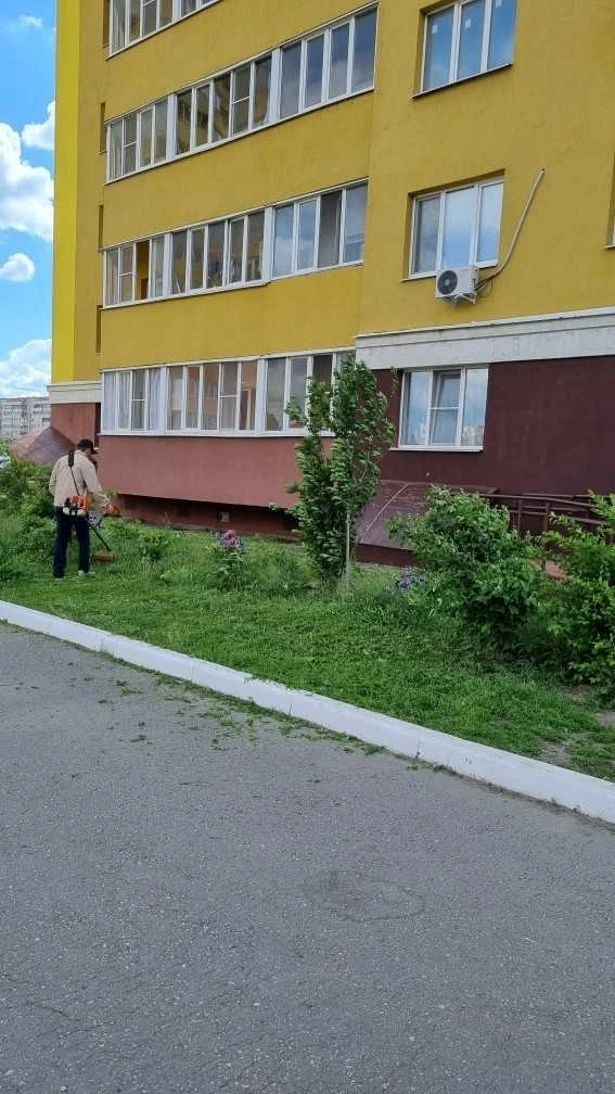 На прошедшем субботнике была организована работа по наведению санитарного порядка: сбор мусора на пр