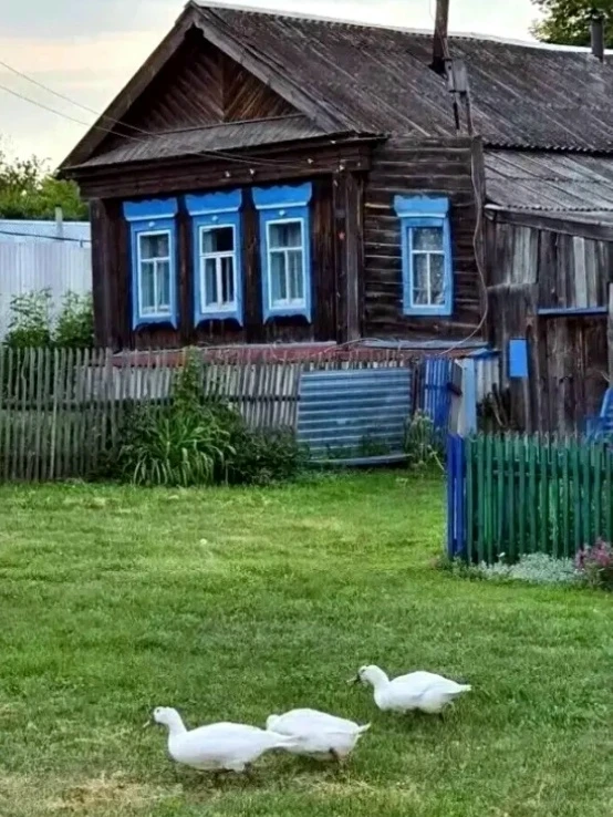 — Лизок, ты где, внученька? — кричал Матвей на весь двор. — Господи, куда же она пропала? Говорил те