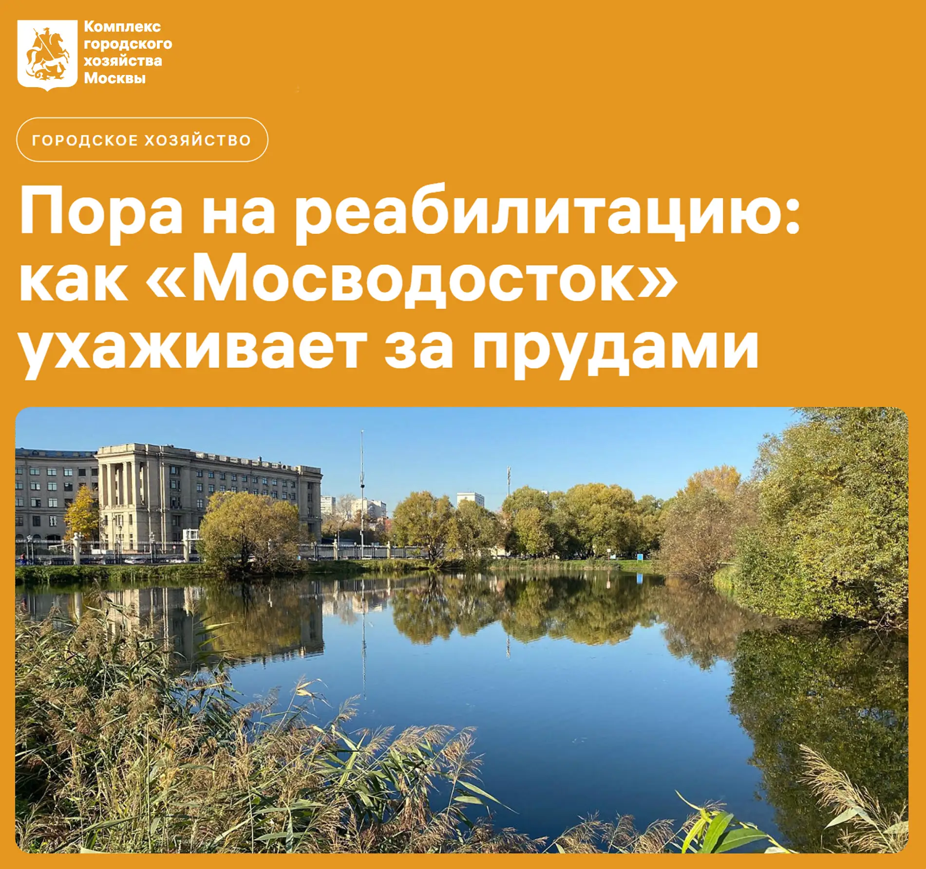 Пруды являются настоящим украшением столицы, точкой притяжения для горожан и гостей города. Но иногд