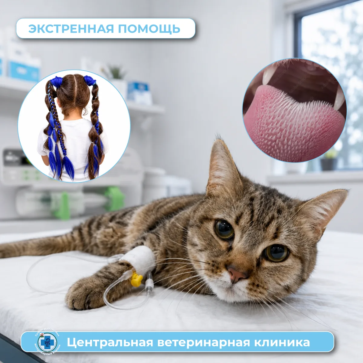 Опасный аксессуар 🐱⚠️
Канекалон — безобидное волокно для людей, но для кошек — смертельная угроза.
