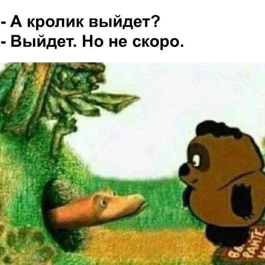 ✅ Воскресенье. Выходим  на утреннюю прогулку. Отдыхаем.
