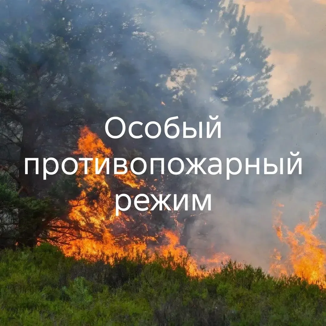 С сегодняшнего дня в Кузбассе — особый противопожарный режим. Он продлится до 1 июня.

Что нельзя де