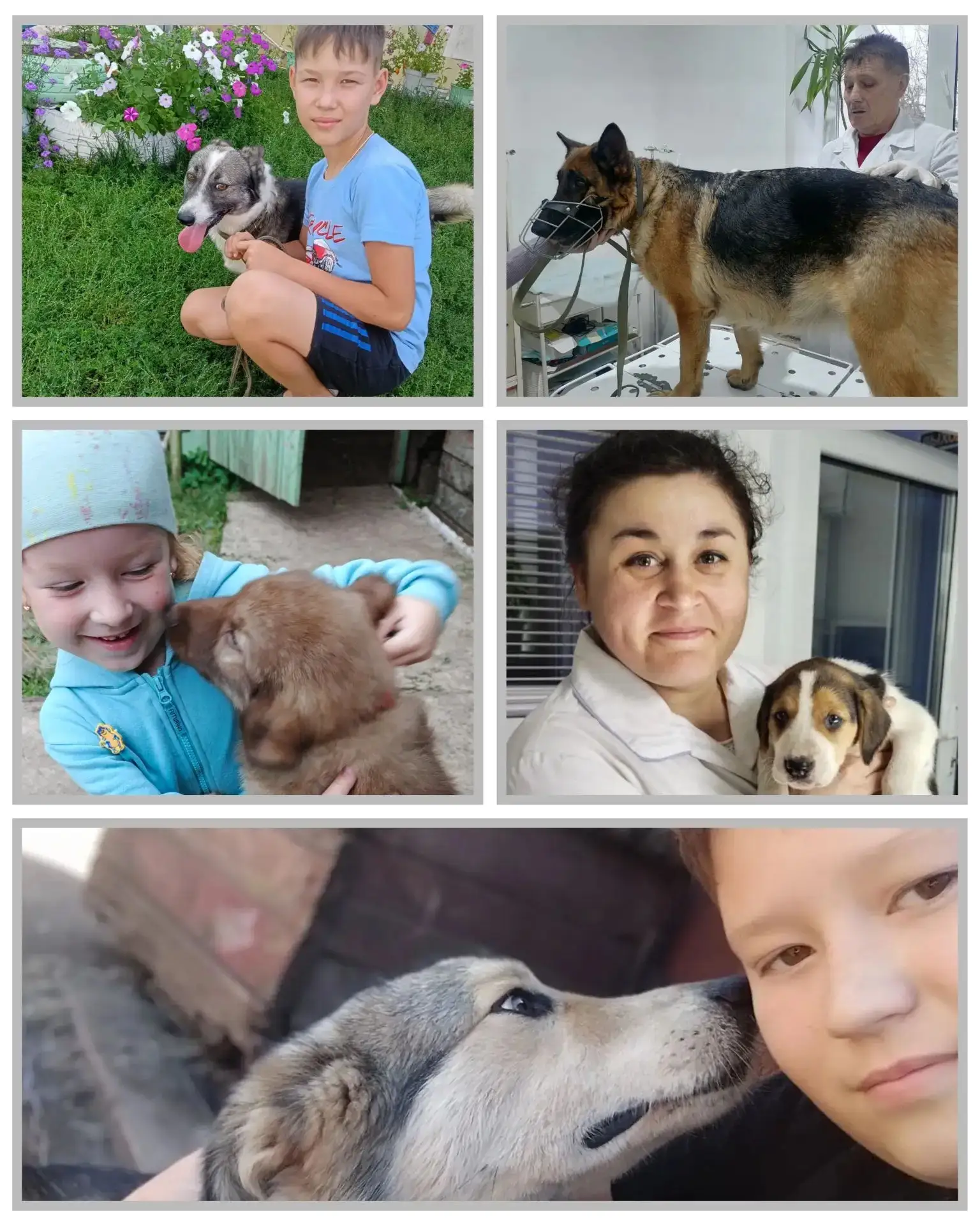 Сегодня 2 июля 2026 года отмечают международный день СОБАК 🐶

Это неофициальный праздник, который о