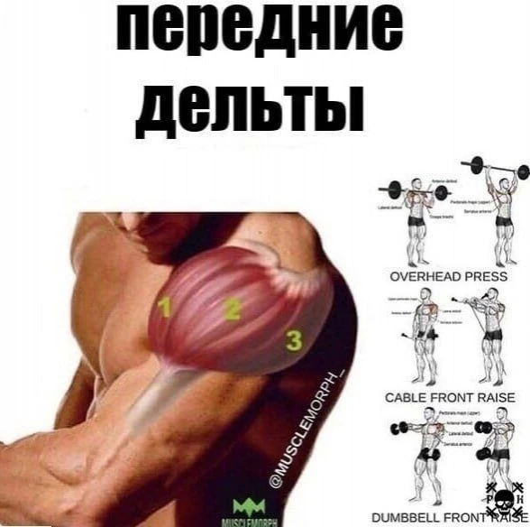 Подпишись на программы тренировок💪