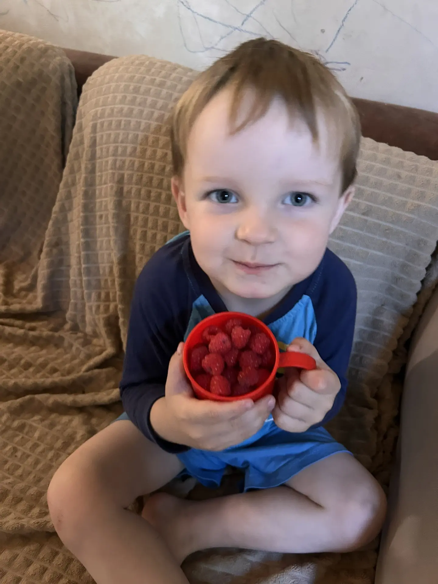У нас начался сезон малины 😍 

На удивление, после дождей она сладкая. Ооочень 😎

Завтра приготовл