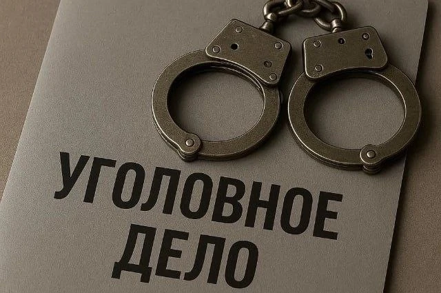 ⚖️ 10,5 лет колонии особого режима — приговор камчатскому закладчику

Житель Елизова признан виновны
