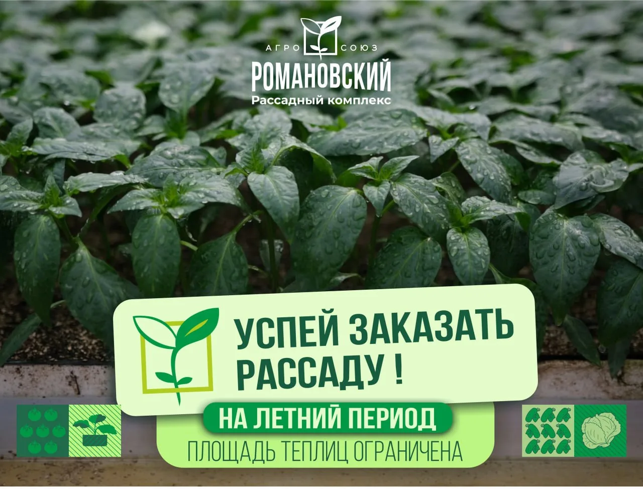 🌱Планируете высадку на летний период? Важно зафиксировать объёмы уже сейчас.

🌱Площадь теплиц огра