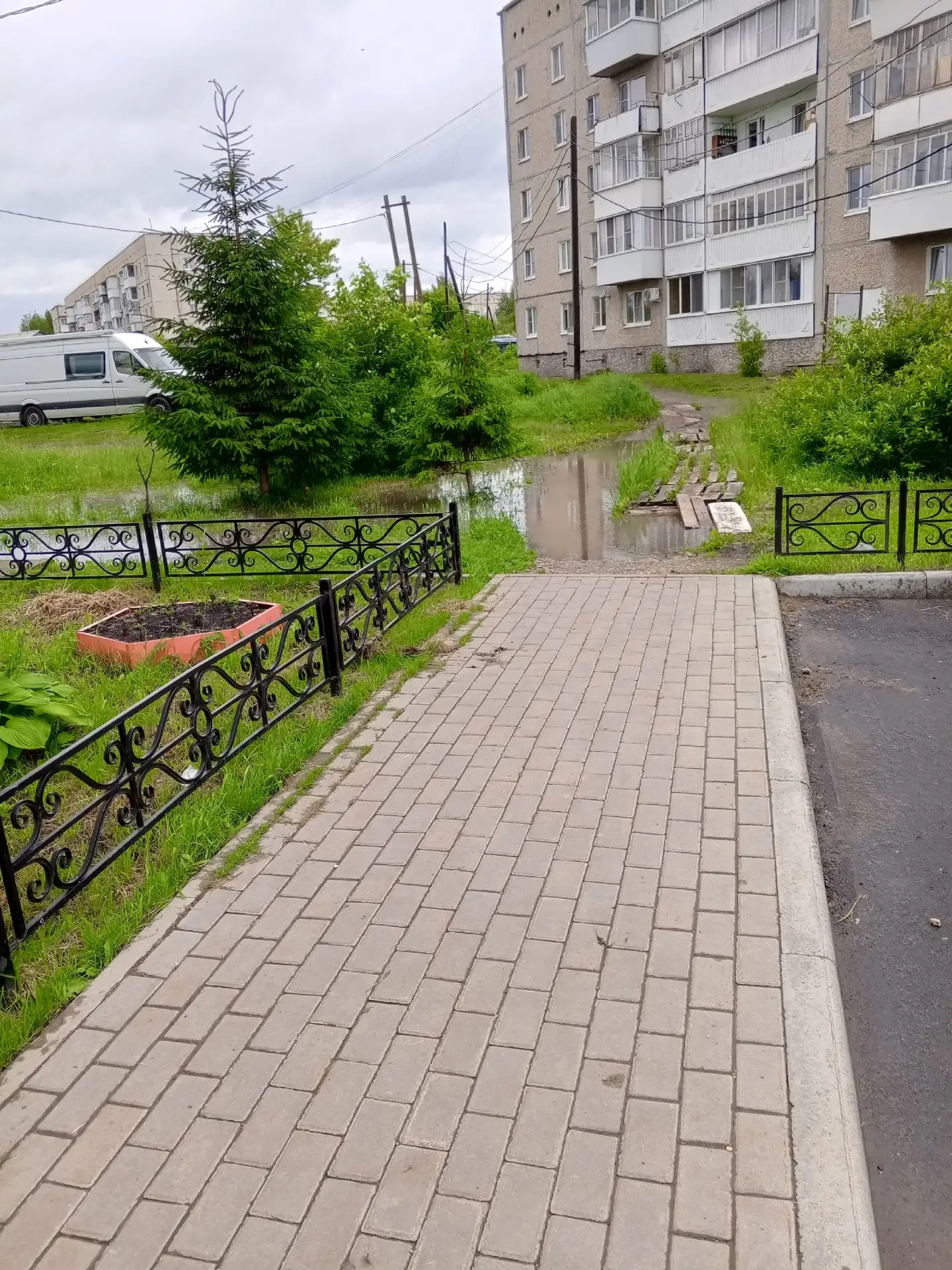 Комсомольская 76, тропинка к контейнерной площадке, 10 июня 2026. Поскользнуться и сесть в лужу, или