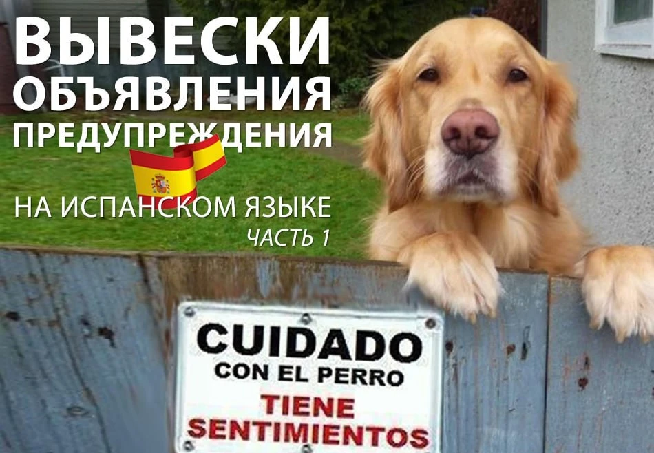 🇪🇸 ОБЪЯВЛЕНИЯ, ВЫВЕСКИ, УКАЗАТЕЛИ, ПРЕДУПРЕЖДЕНИЯ НА ИСПАНСКОМ ЯЗЫКЕ ⛔️🚫🛑

Важнейшая полная подб