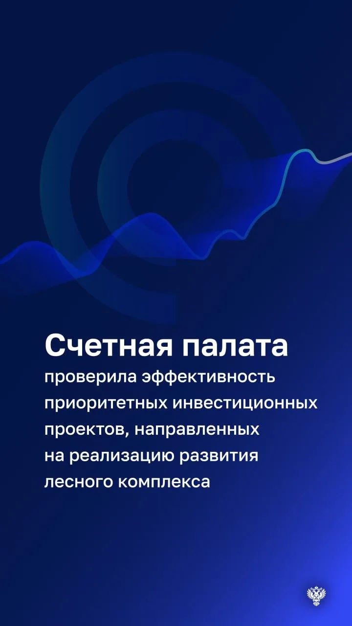 Реализация приоритетных инвестпроектов (ПИП) не стимулирует развитие лесного комплекса.⁣
К такому вы