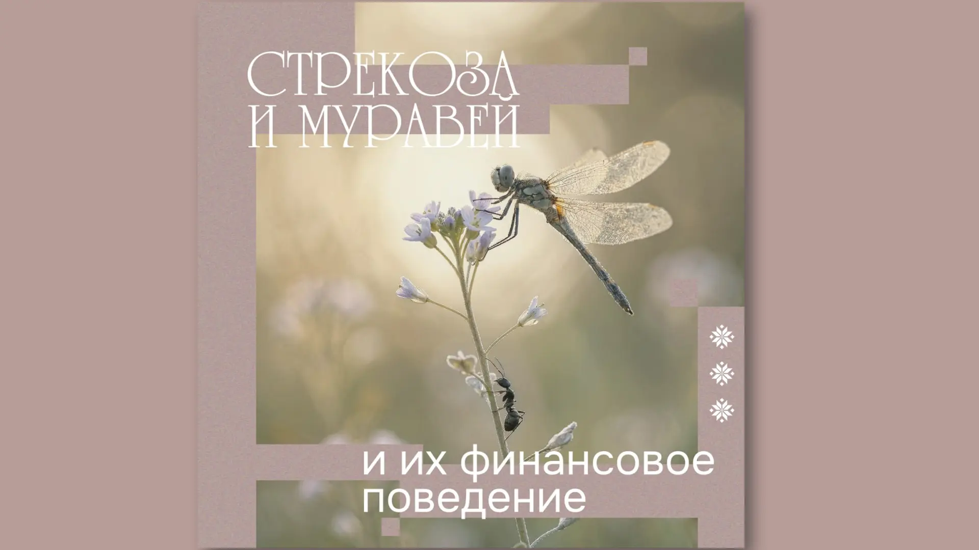 💳 Брать от жизни все или держать бюджет в муравьиных ежовых рукавицах?

В вашем окружении наверняка