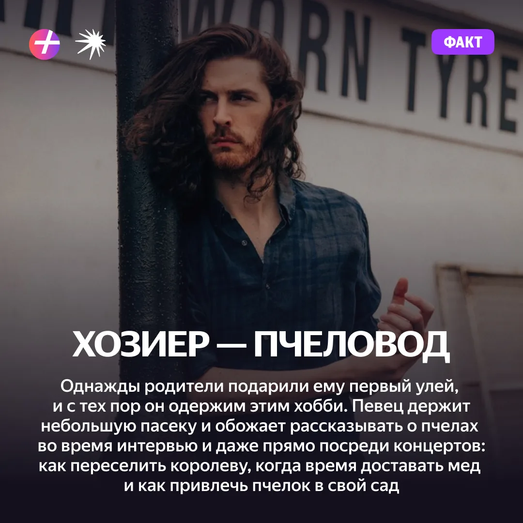Бззз 🐝🐝🐝

#Плюс_Факт