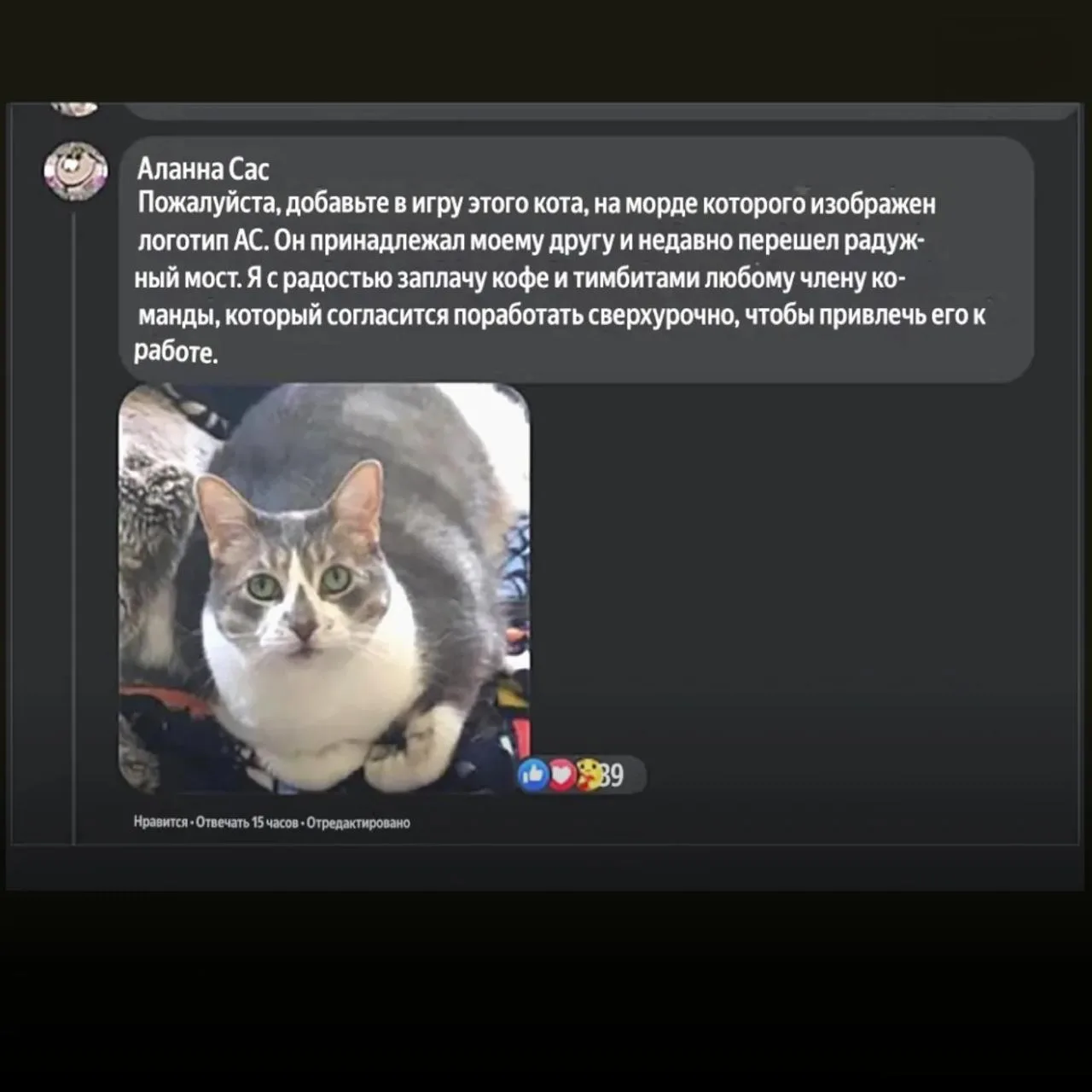 Несколько лет назад девушка написала разработчикам серии компьютерных игр просьбу добавить в будущую