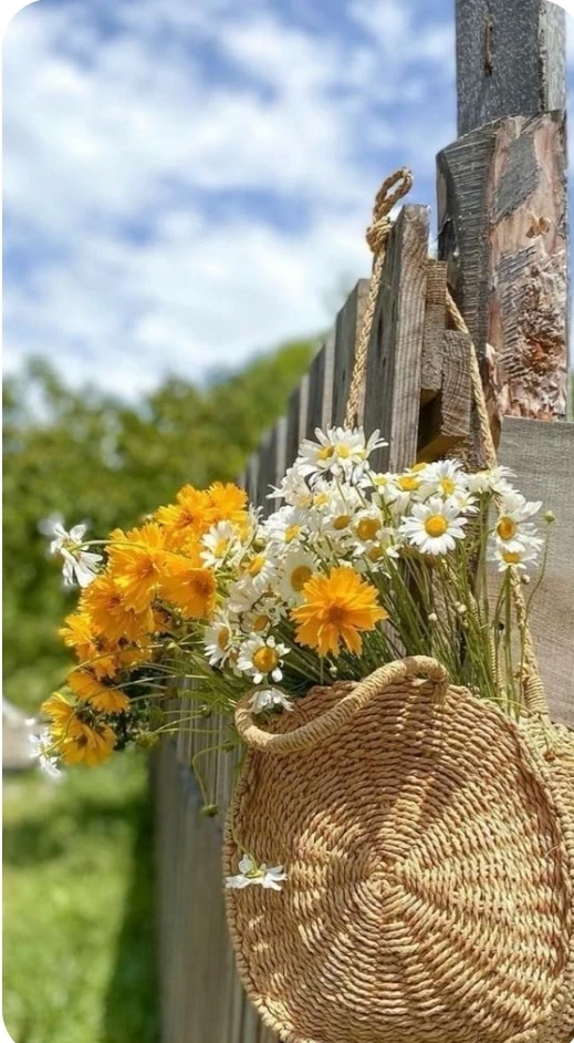 Сердечно благодарим каждую из Вас, мои Модницы! 
За выбор нашего магазина💐
Шейте и носите ваши изде