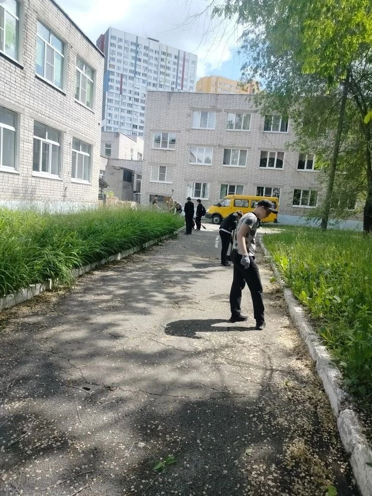📅💼 Наш трудовой отряд приступил к работе! 💪

С гордостью сообщаем, что с 1 июня наш школьный труд