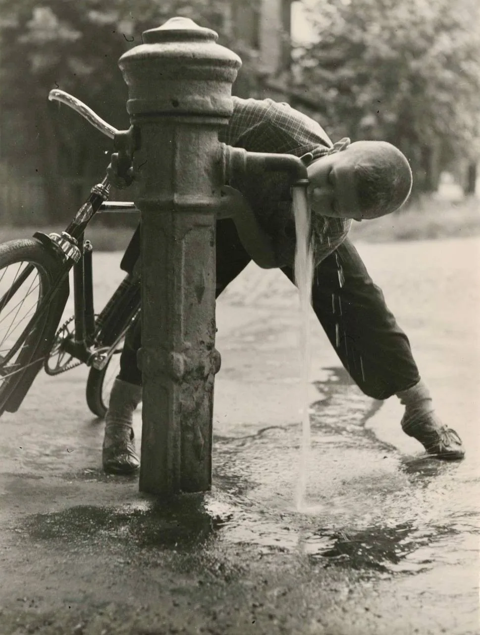После заезда, 1960-е.

Прекрасное далёко