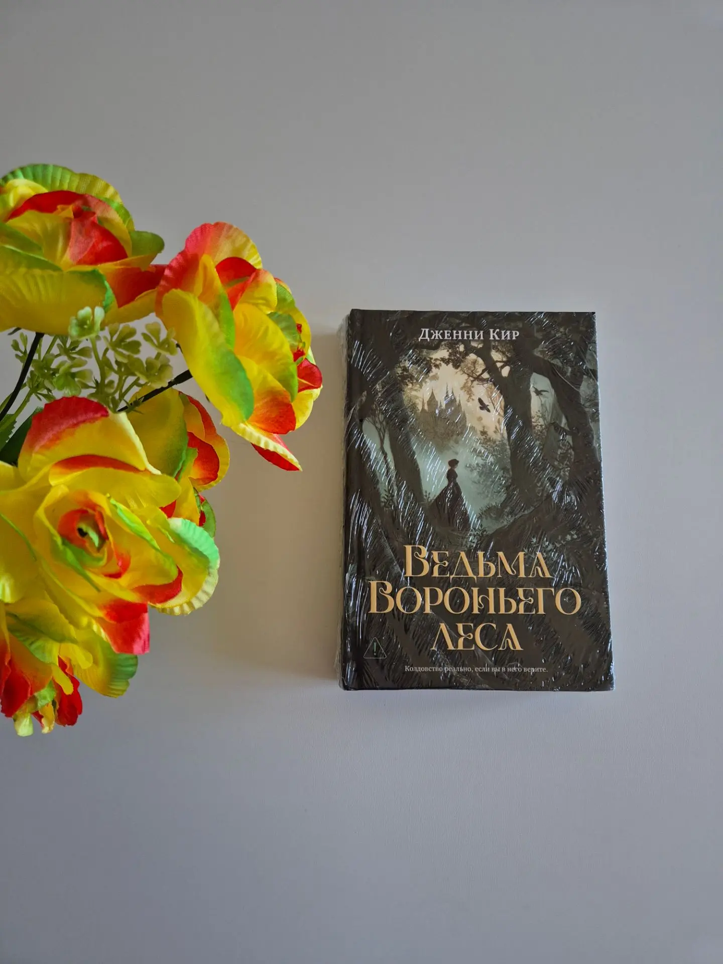 Обзор 📚

Показываю прекрасные новинки издательства Азбука 🔥

● Дженни Кир "Ведьма вороньего леса" 