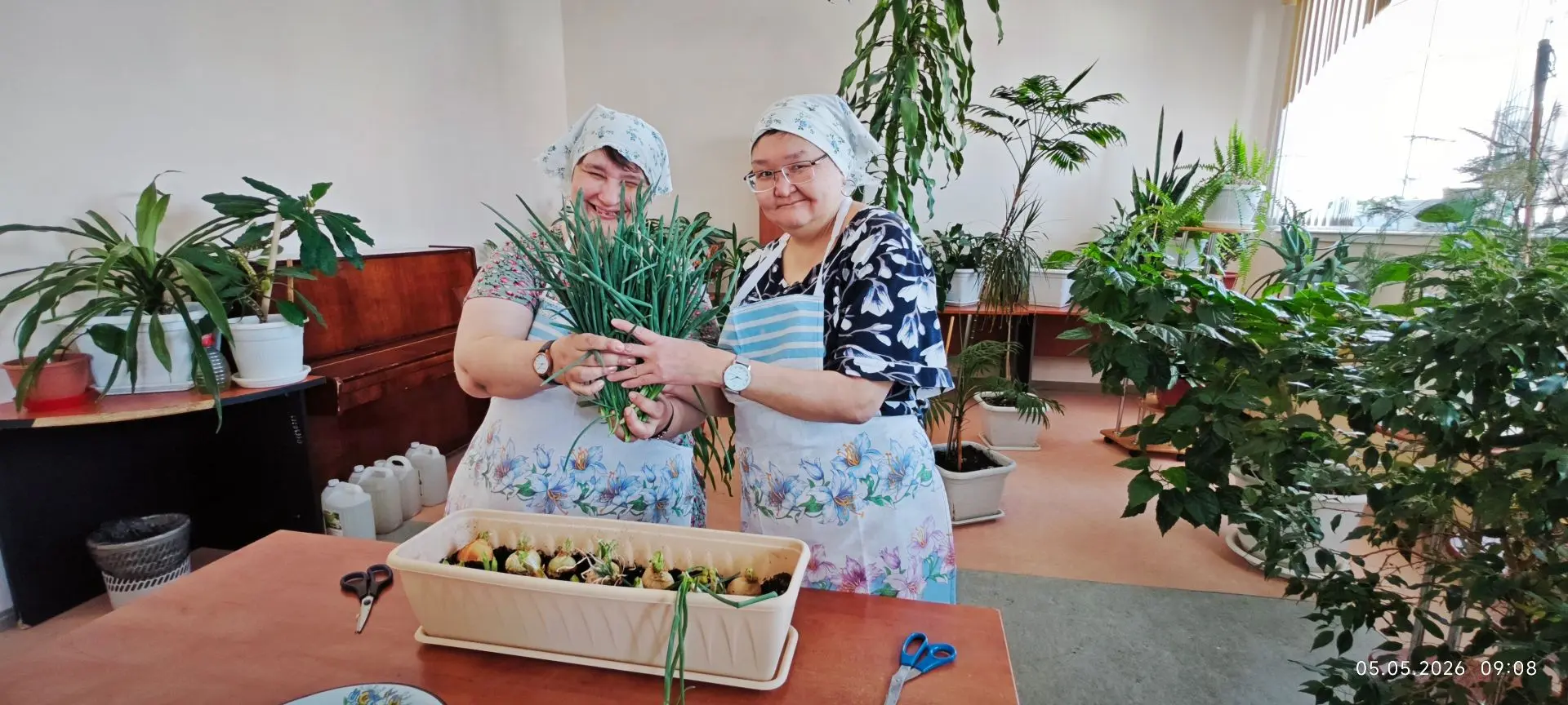 Первый урожай зелени
 
Садоводы-любители Анадырского психоневрологического интерната собрали первый 